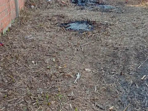 Calle Chapuis al 100