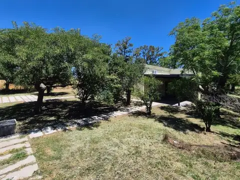 Alfonsina Storni 100