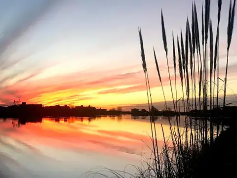 Terreno en Venta de 861,0 m2