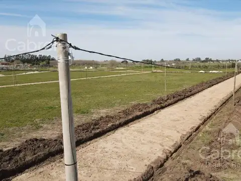 Terreno en Venta 12  mts Frente