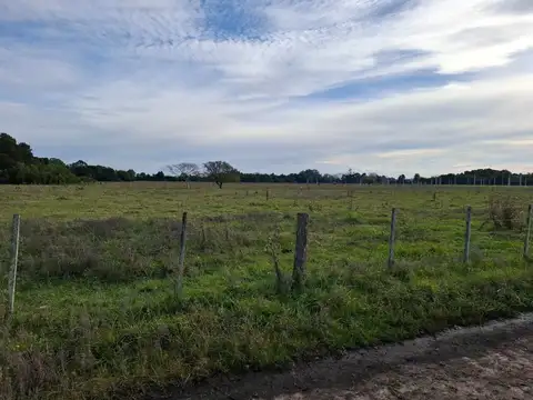 VENEZUELA al  FRENTE Y ALEM