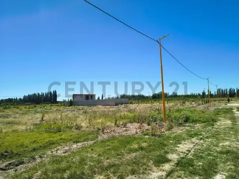 Terreno en Venta en Cervantes, USD 5.500