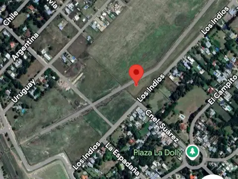 Campo - Coronel Brandsen