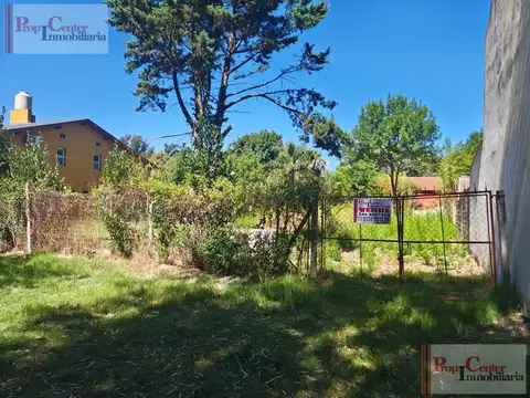SAUCE  100 - LA BOTA