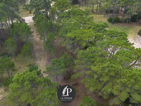 Venta Terreno Pinamar Barrio Bosques