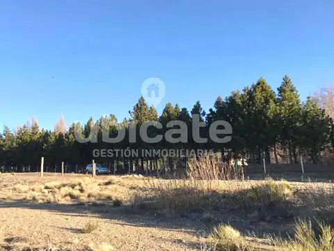 Dina Huapi Costa del lago