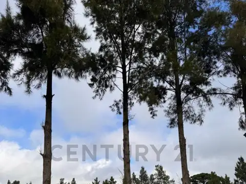 Oficina en Venta en Joaquin Gorina, USD 130.000