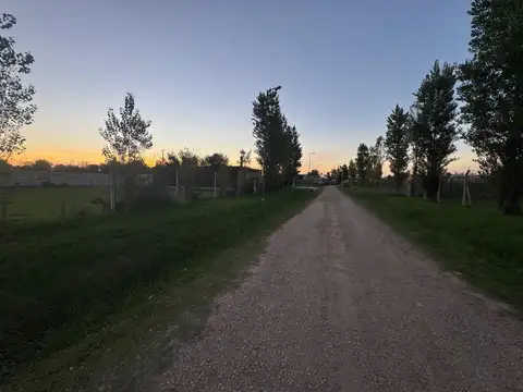 Terreno en Venta de 1000,0 m2