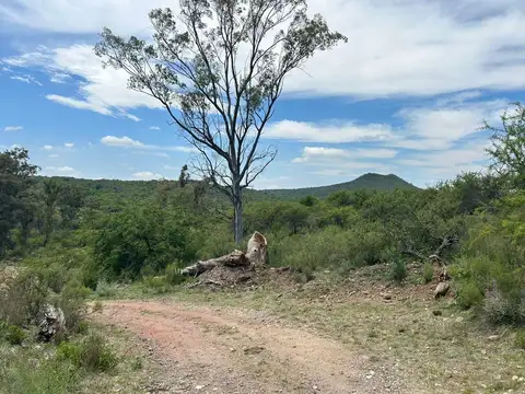 La Sierrita 100