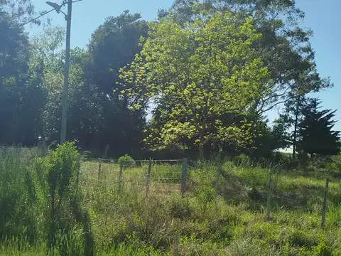 TERRENOS EN BARRIO LOS CACHORROS CALLE  73 /74  entre 253 y 254  ETCHEVERRY-LA PLATA- GBA SUR
