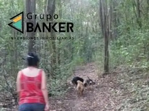 Macacha Guemes 300