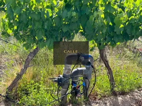 Venta de Finca en Perdriel