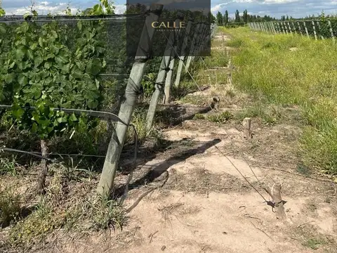 calle cobos, 100