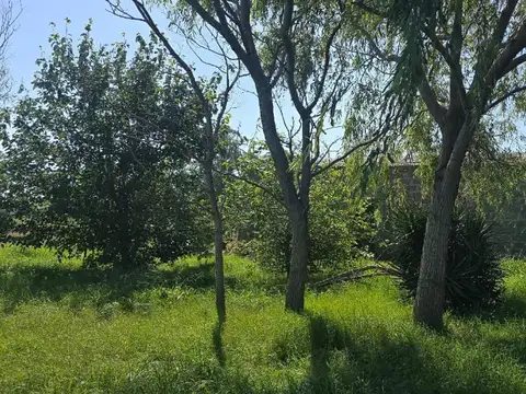 Paraje "los Eucaliptus"
