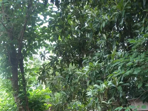 Casa en Venta 40 años