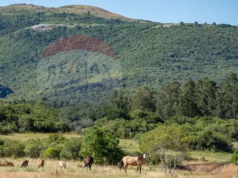 Chacra Marítima en venta - Precio Lanzamiento  