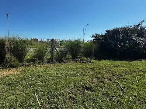 Puertos del Lago - Acacias 100