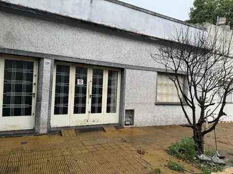 Linneo 2100