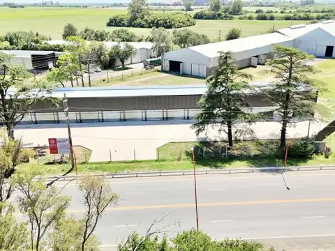 Nave industrial - Galpón en Alquiler - Centro Logístico Alvear