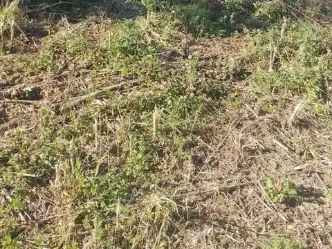 Terreno en Venta en El Cazador, USD 50.000