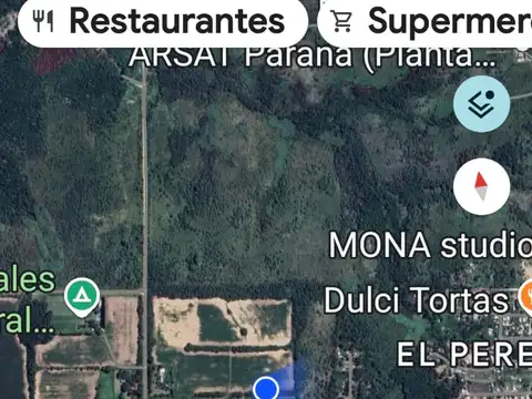 Selva De Montiel 100