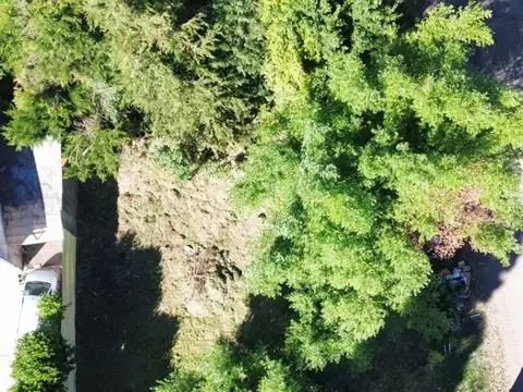 Terreno en Venta en San Martin De Los Andes, USD 140.000