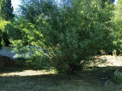 Terreno en Venta de 630,0 m2