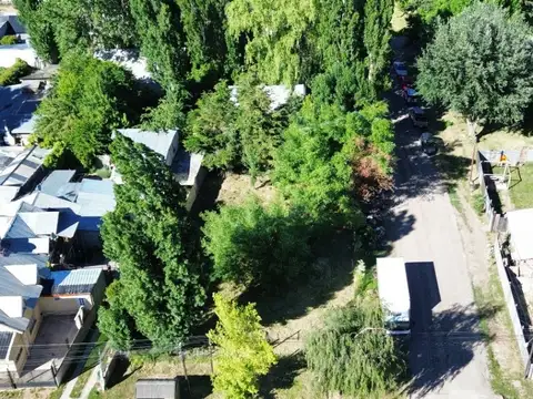 Chaco y  Quinquela Martin , San Martin de los Andes 100