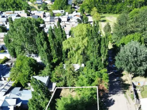 Chaco y  Quinquela Martin , San Martin de los Andes 100