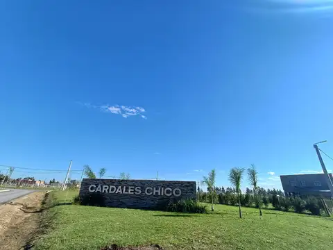 LOTE B° CARDALES CHICO
