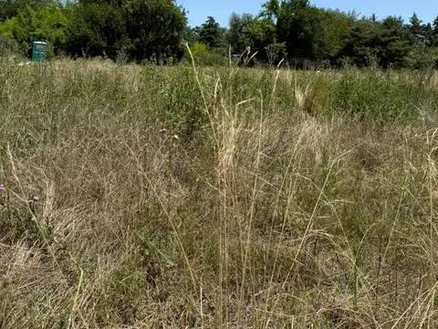 Terreno en Venta de 796,0 m2