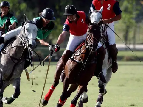 Terreno en Venta de 1142,0 m2