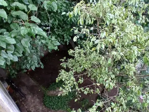 Depto Tipo Casa en Alquiler de 2 ambientes