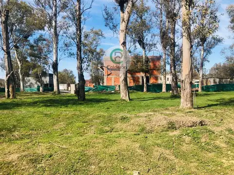 Ruta 7 9000