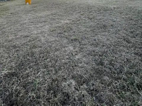 Terreno en Venta de 302,0 m2