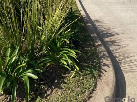Terreno en Venta 92,21  mts Fondo