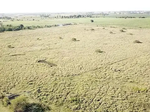 Vuelta de Obligado y Lisandro de la