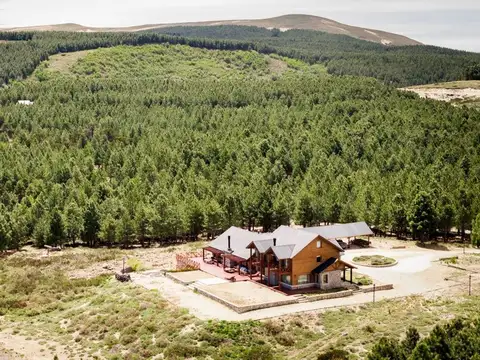 TERRENO EN VENTA ALTOS DE PEHUENIA