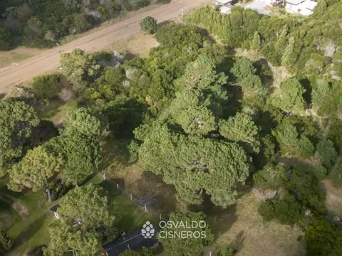Proyecto turístico aprobado en Colonia Marina – terreno comercial de 2.280 m²