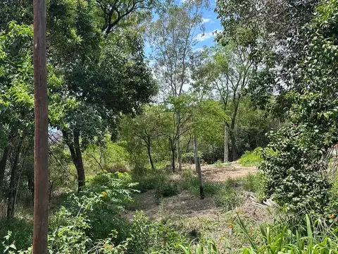 LOTE EN VENTA EN RIO CEBALLOS 534 M2