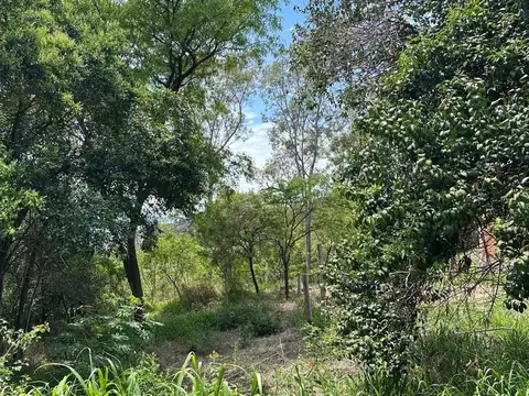 RIO CEBALLOS 9 de julio 2000