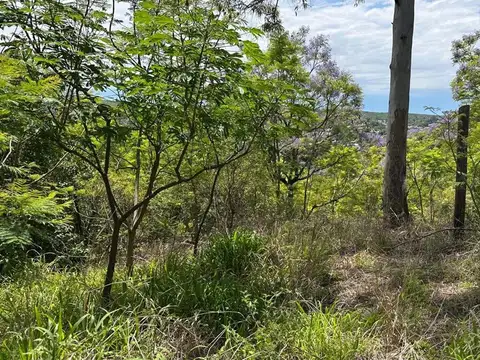 LOTE EN VENTA EN RIO CEBALLOS 534 M2