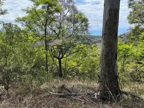 Terreno en Venta de 534,0 m2