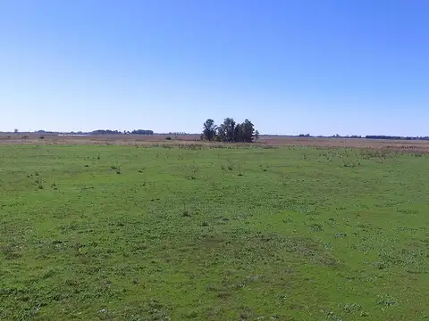Campo en venta en Magdalena