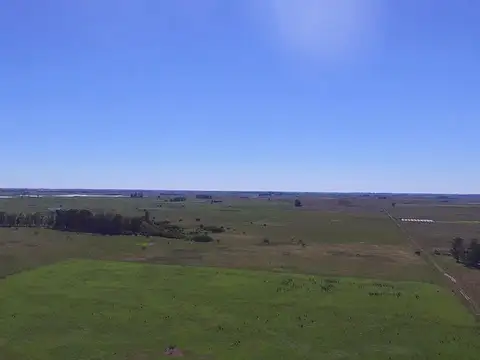 Campo en venta en Magdalena