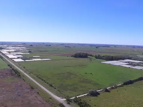 Campo en venta en Magdalena