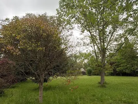 Terreno en El Remanso