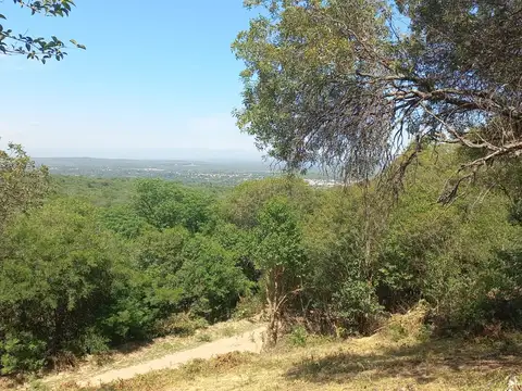 El Divisadero 100