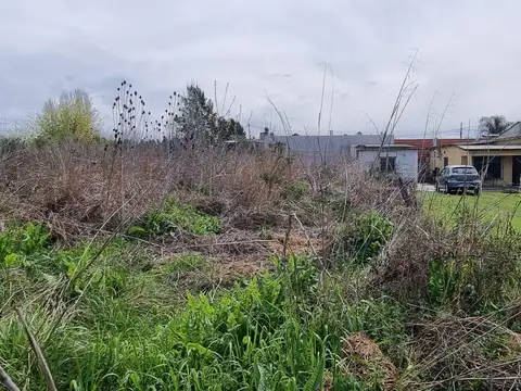 Los Crisantemos, entre Los Malvones y Los Claveles al 1000