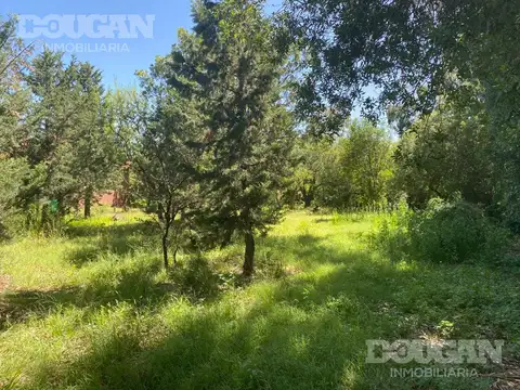 Terreno en Venta 48  mts Fondo